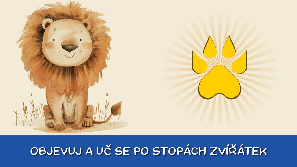 Kreslení písmena v aplikaci Školáček – Elementer