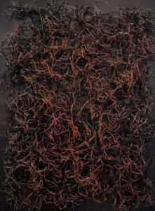 ELEMENTER - Dílo: Z temnoty