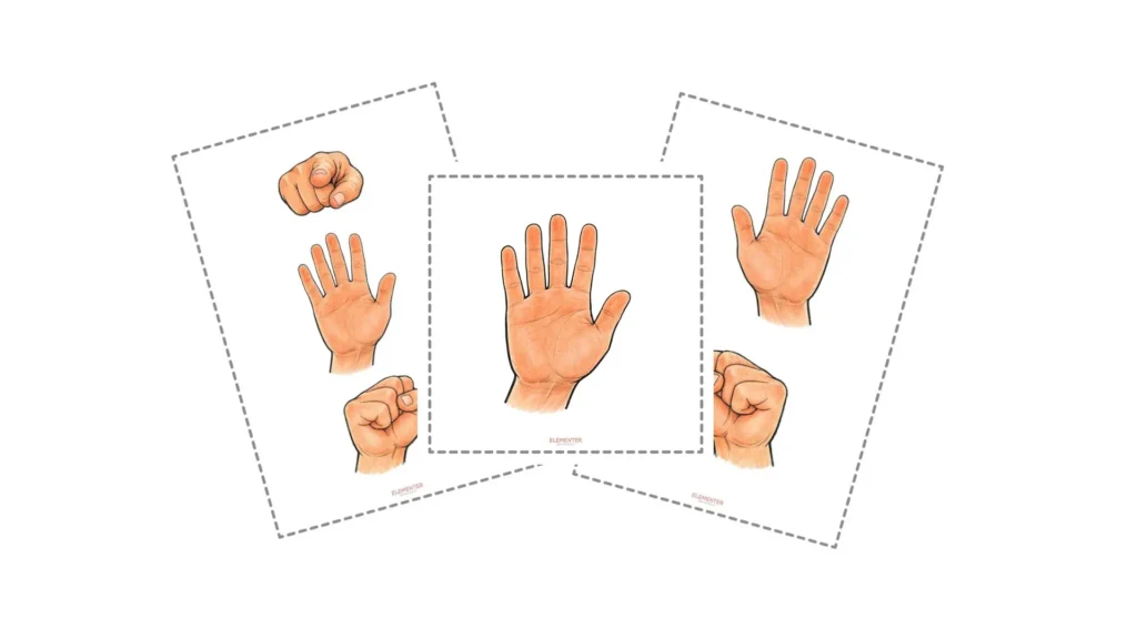 Elementer - gestohrátky náhled